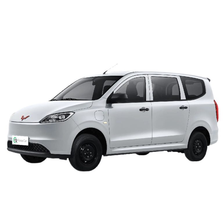 Wuling Hongguang Pure Electric Version 2024 300km Standard