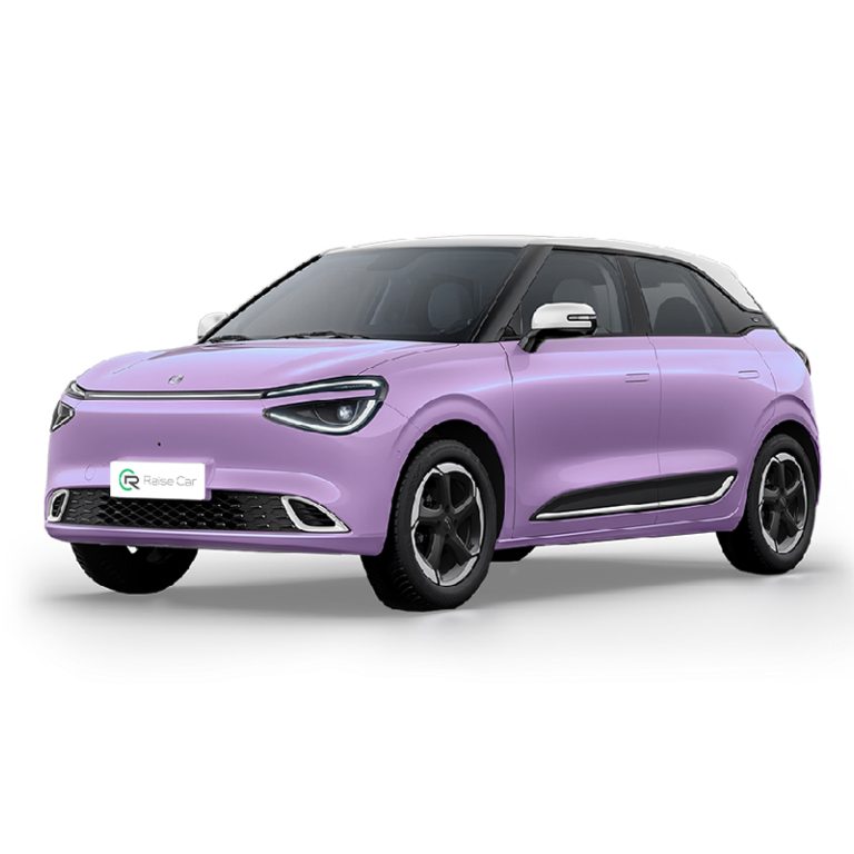 Dongfeng Nammi 01 2024 model 430Max Smart+